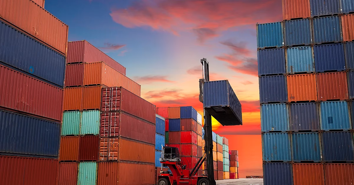 Container maritime aménagé pour usage professionnel